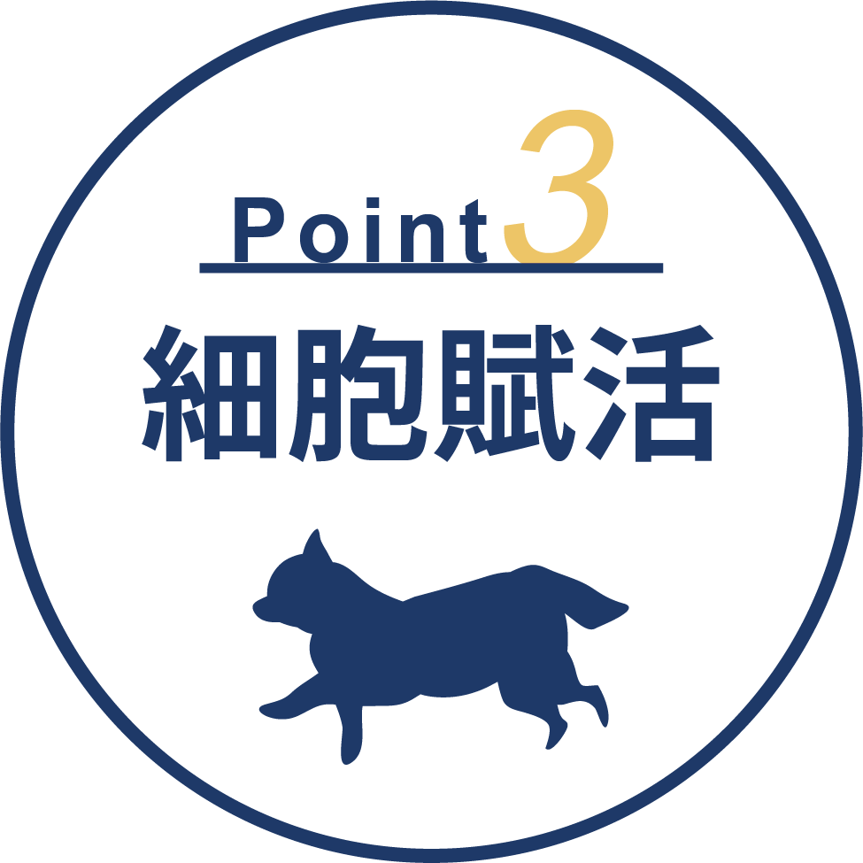 ラテスパ細胞賦活