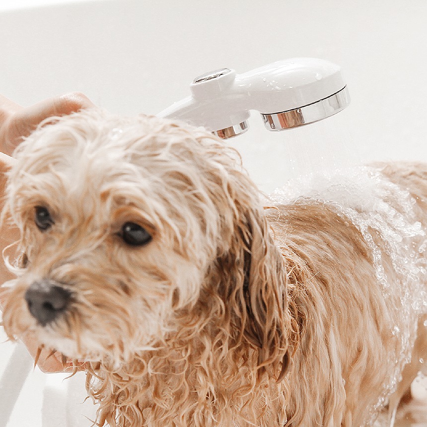 ナノペットイメージ2