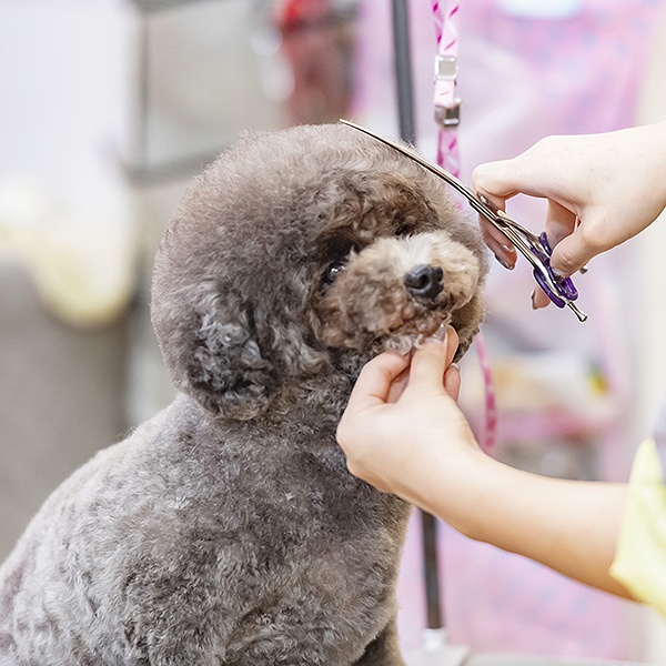 ナノバブル温浴